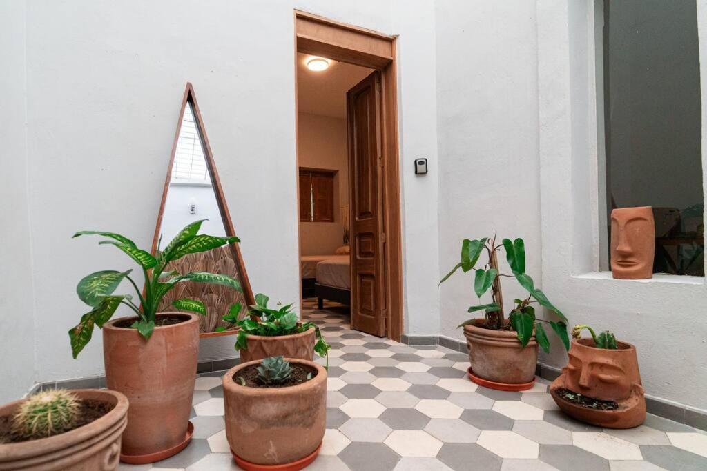 Casa Del Desierto Villa กัวดาลาฮารา ภายนอก รูปภาพ